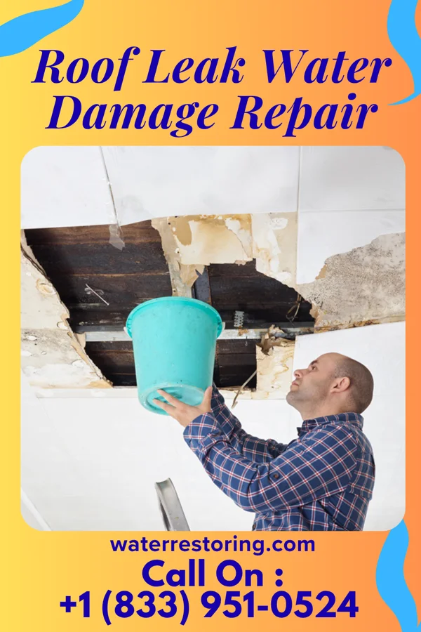 Roof Leak Water Damage Repair in Fessenden, ND